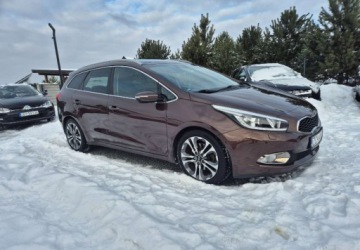 Kia Ceed II Kombi 1.6 GDI 135KM 2014 Kia Ceed 1,6 135 KM Business Line Zarejestrowany w PL 1.6 Benzyna, zdjęcie 23