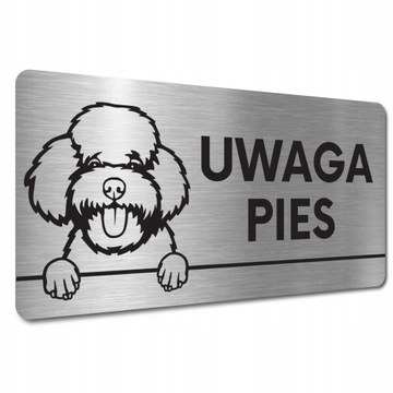 TABLICZKA UWAGA GROŹNY PIES ZŁY PIESEK Pudel toy TABLICZKA UWAGA ZŁY PIES