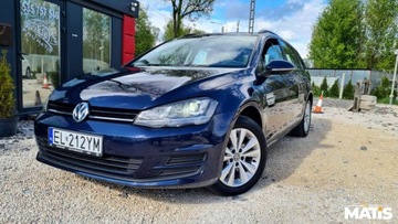 Volkswagen Golf VII Variant 1.6 TDI BlueMotion  110KM 2016 Volkswagen Golf 1.6Tdi 110KM Salon Polska 2xPD..., zdjęcie 10