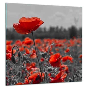 SZKLANA PŁYTA OCHRONNA PANEL KLEJ 60x65 KWIATY Hartowane Szkło Kuchnia