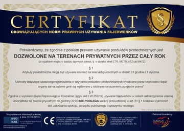 System do zdalnej detonacji SYS106