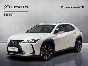 Lexus UX Crossover Facelifting 2.0 300h 199KM 2024 Lexus UX 300h Business Lexus UX 300h Business+Tech
