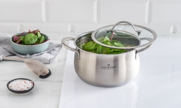 ZWIEGER PRACTI PLUS ГОРШОК С КРЫШКОЙ 20СМ