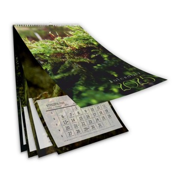 СПИРАЛЬНЫЙ КАЛЕНДАРЬ СПИРАЛЬНЫЙ КАЛЕНДАРЬ А3+ 13 страниц 50 шт 250/170г