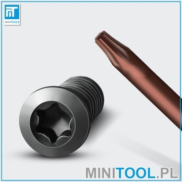Śruba M2x6 TORX do narzędzi CNC klasa 12,9