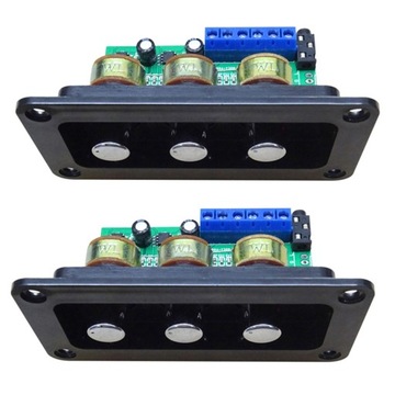 2X Digital Power Amplifier Board Stereo Amp NS4110