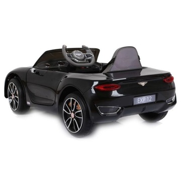 ОРИГИНАЛЬНАЯ ВЕРСИЯ BENTLEY EXP12, МЯГКАЯ