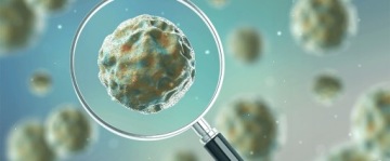 ПРЕПАРАТ БИОФОС ДЛЯ СЕКТИНКОВ, КОС, 5кг, ОЧЕНЬ ЭФФЕКТИВНЫЙ