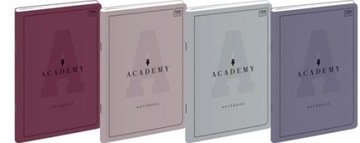 ZESZYT ACADEMY A5 60 KARTEK LINIE INTERDRUK