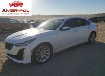 Cadillac 2023 Cadillac CT5 Luxury 2023 2.0l 2.0 Benzyna 237KM