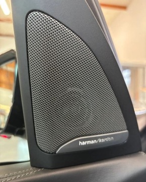 BMW X7 SUV 3.0 40d 340KM 2020 BMW X7 40d xDrive M Sport Dealer BMW Bonkowscy Gorzow Wlkp. 3.0 Diesel, zdjęcie 14