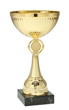 Puchar trofeum nagroda konkurs 23 cm + GRAWER