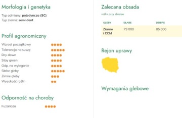 Семена кукурузы SM Wawel FAO 230-240 50 тыс. семян