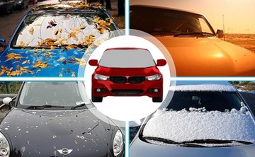 Покрытие коврика на лобовое стекло польское ЛЕТО/ЗИМА