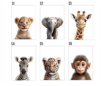 Zestaw 3 plakaty 40x50 zwierzęta safari farma leśne WZORY lew, panda, miś