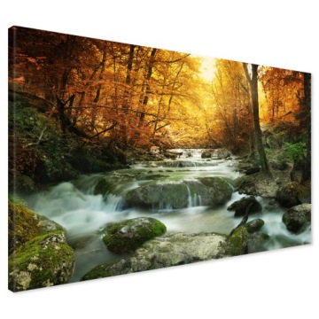 Obraz na płótnie 100x70 LAS Strumień DRZEWA Canvas do Salonu Premium
