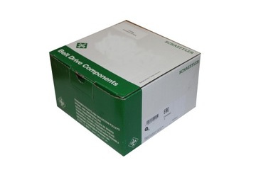 НАТЯЖИТЕЛЬ ЦЕПИ ГРМ INA 551007410