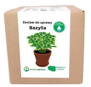 Zestaw do Uprawy ziół BAZYLIA 500 nasion X