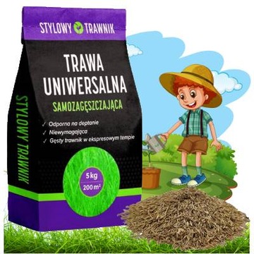 Trawa uniwersalna nasiona stylowy odporna deptanie niewymagająca gęsta 5kg