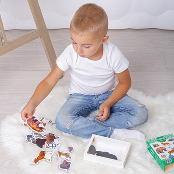 Набор магнитов 