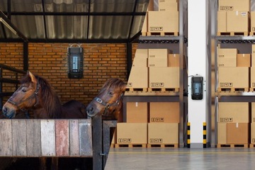 УФ -инсектицидная лампа для комаров комаров