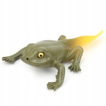 Научная модель жизненного цикла цикла роста животных