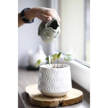 СИЛИКОНОВАЯ ЛЕЙКА SCRUNCH КРОКОДИЛ пудровый розовый