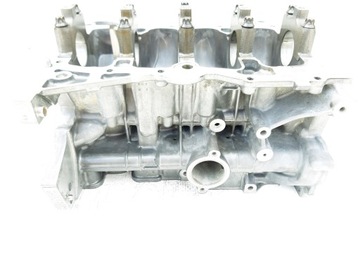 BLOK SILNIKA RENAULT NISSAN 1.2 TCE H5FF408 110112878R