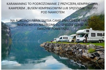 Thule 306929 Organizer campingowy Go Box Medium po