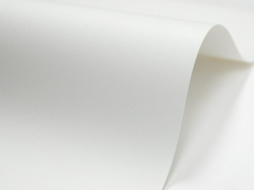 Papier ozdobny Bio Top 3 - Next 160g 20 ark. A4