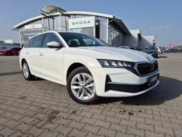 Skoda Octavia IV Scout 1.5 TSI ACT 150KM 2025 Skoda Octavia Selection 1.5 TSI Auto z placu, zdjęcie 4
