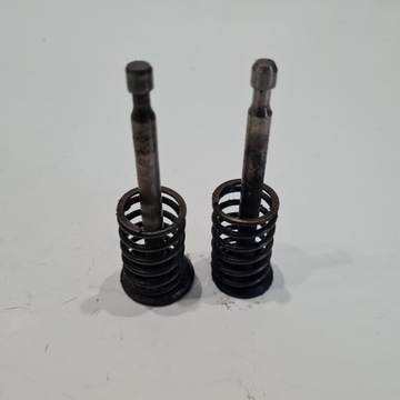 КОМПЛЕКТ ВПУСКНЫХ ВЫПУСКНЫХ КЛАПАНОВ TECUMSEH VANTAGE 35