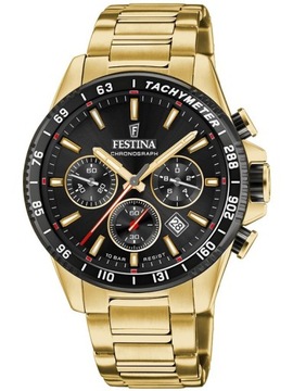 Zegarek męski FESTINA 20634/5