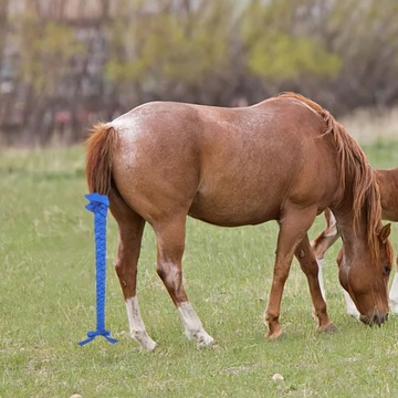 ПОДАРОК ​​любителям лошадей LLWL PONY BAG
