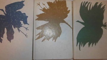 Korczak 3 części - Korczak