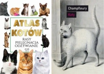 Кошачий атлас