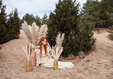 SUSZONA TRAWA PAMPASOWA DO WAZONU OZDOBNA PAMPASY