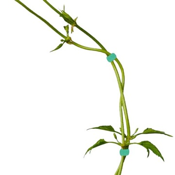 САДОВАЯ ЛЕНТА-ВЕЛКРО ДЛЯ КРЕПЛЕНИЯ РАСТЕНИЙ И ЦВЕТОВ 5М 4 ШТ.