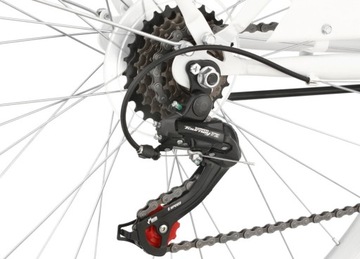 Citybike 28-дюймовый женский городской велосипед, Белый + BASKET