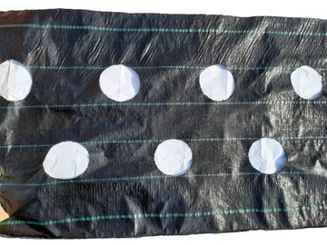 Agrotkanina POD TRUSKAWKI z OTWORAMI na METRY !!!