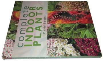 Complete indoor plants - Squire