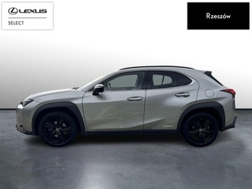 Lexus UX 2021 Lexus UX 250h GPF F Impression 2WD UX 250h F-impre, zdjęcie 1