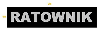 Naszywka Emblemat RATOWNIK 10x25 cm