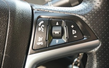 Opel Insignia I Sports Tourer 1.6 Turbo ECOTEC 180KM 2009 Opel Insignia Bezwypadkowy Serwisowany 1-Wlasciciel Navi Sport Xenon Turbo, zdjęcie 28