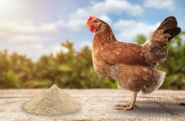 НАТУРАЛЬНАЯ Кизельгур 500г ЭКО