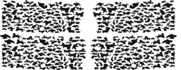 2x Nálepka Grafika na kolo Motocykl Běžník Malé Maskáčový Kamufláž 116x46