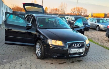 Audi A3 8P Hatchback 3d 1.6 102KM 2008 Audi a3 1,6 MPI 102 km 1.6 Benzyna 102KM, zdjęcie 24