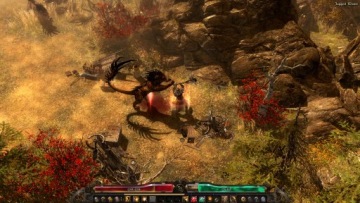 Grim Dawn Definitive Edition PL ПК Steam