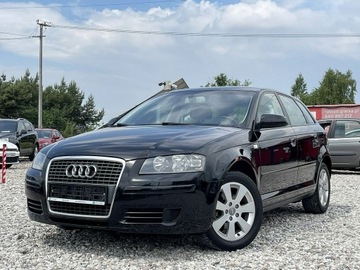 Audi A3 8P Hatchback 3d 1.6 102KM 2006 Audi A3 1.6 MPI Climatronic Gwarancja