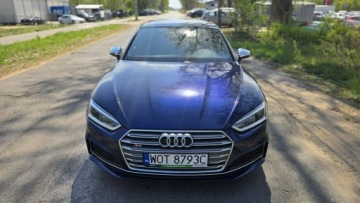 Audi A5 F5 S5 Sportback 3.0 TDI 347KM 2019 Audi S5 Sportback S5 3.0Tdi 347KM Panorama PL Sal, zdjęcie 1